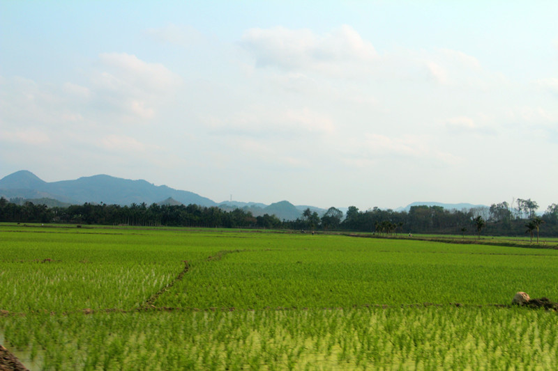 農業部擬建 300個區域生態循環農業項目