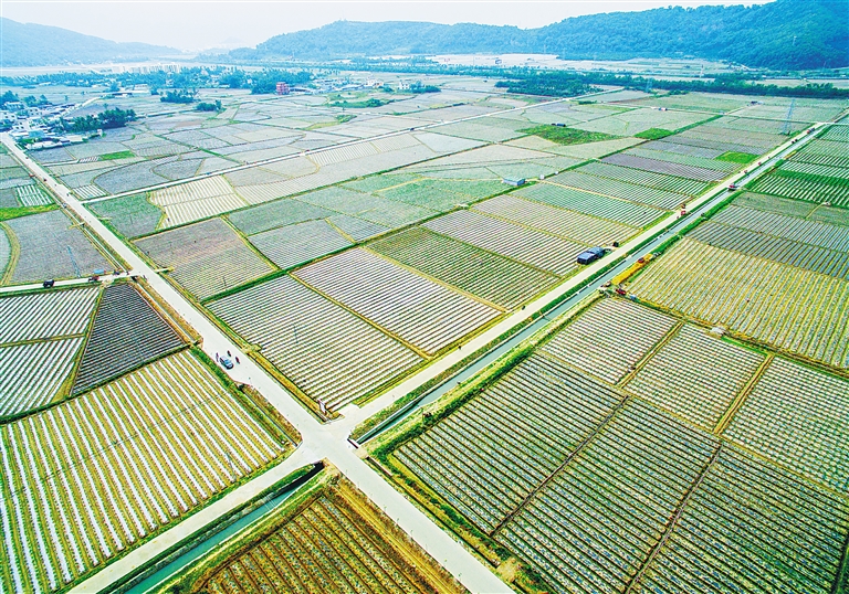 中共海南省委 海南省人民政府 關于穩步推進農村集體產權制度改革的實施意見